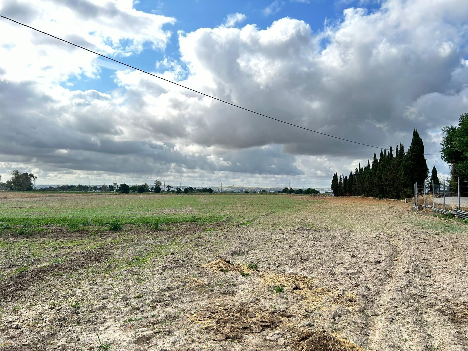TERRENO EN VENTA CON CASAS, NAVES, TRASTEROS, MAQUINARIA...