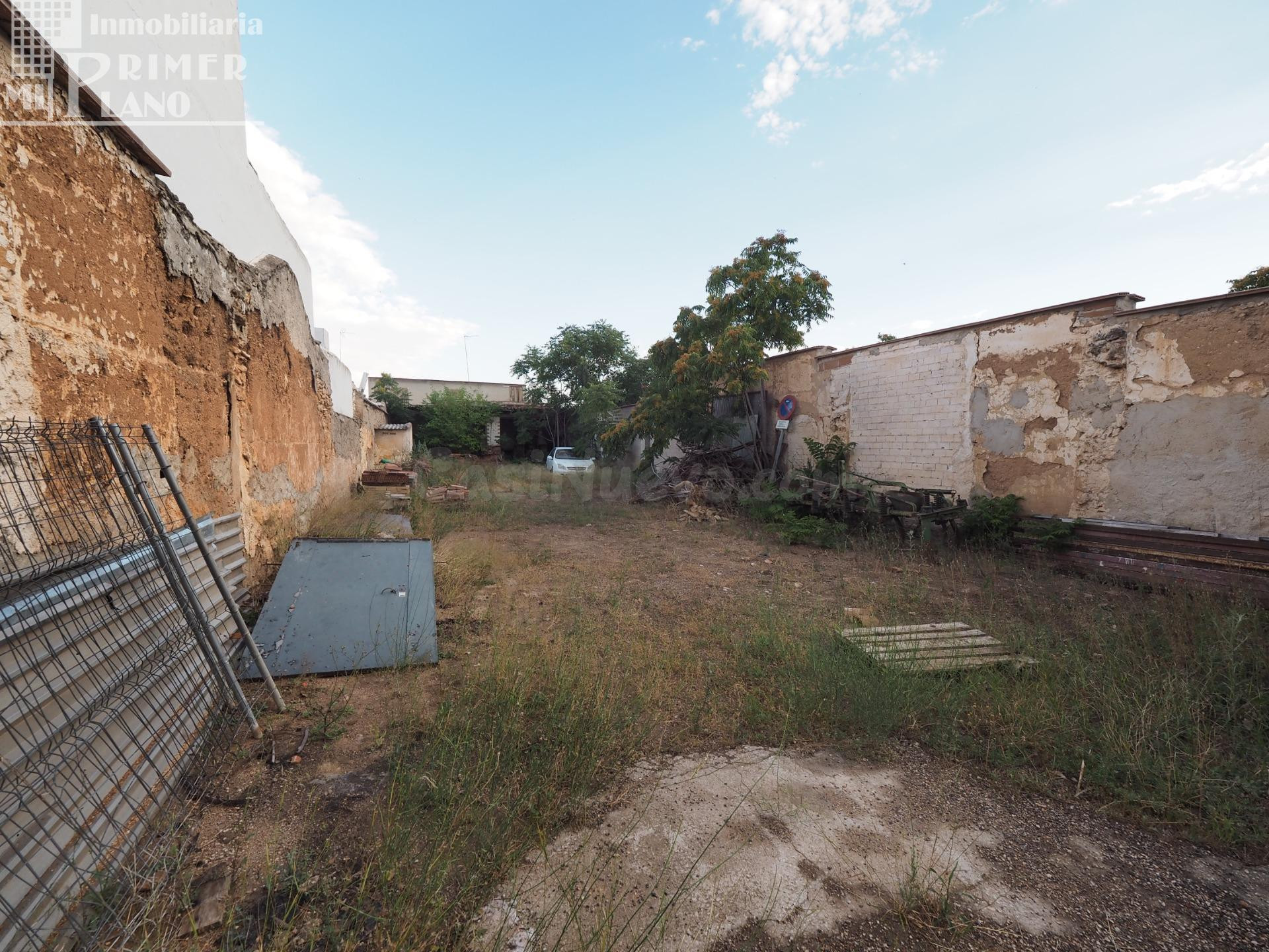 Se vende solar en la zona de calle Oriente que cuenta conn 487m2 con 11 de fachada
