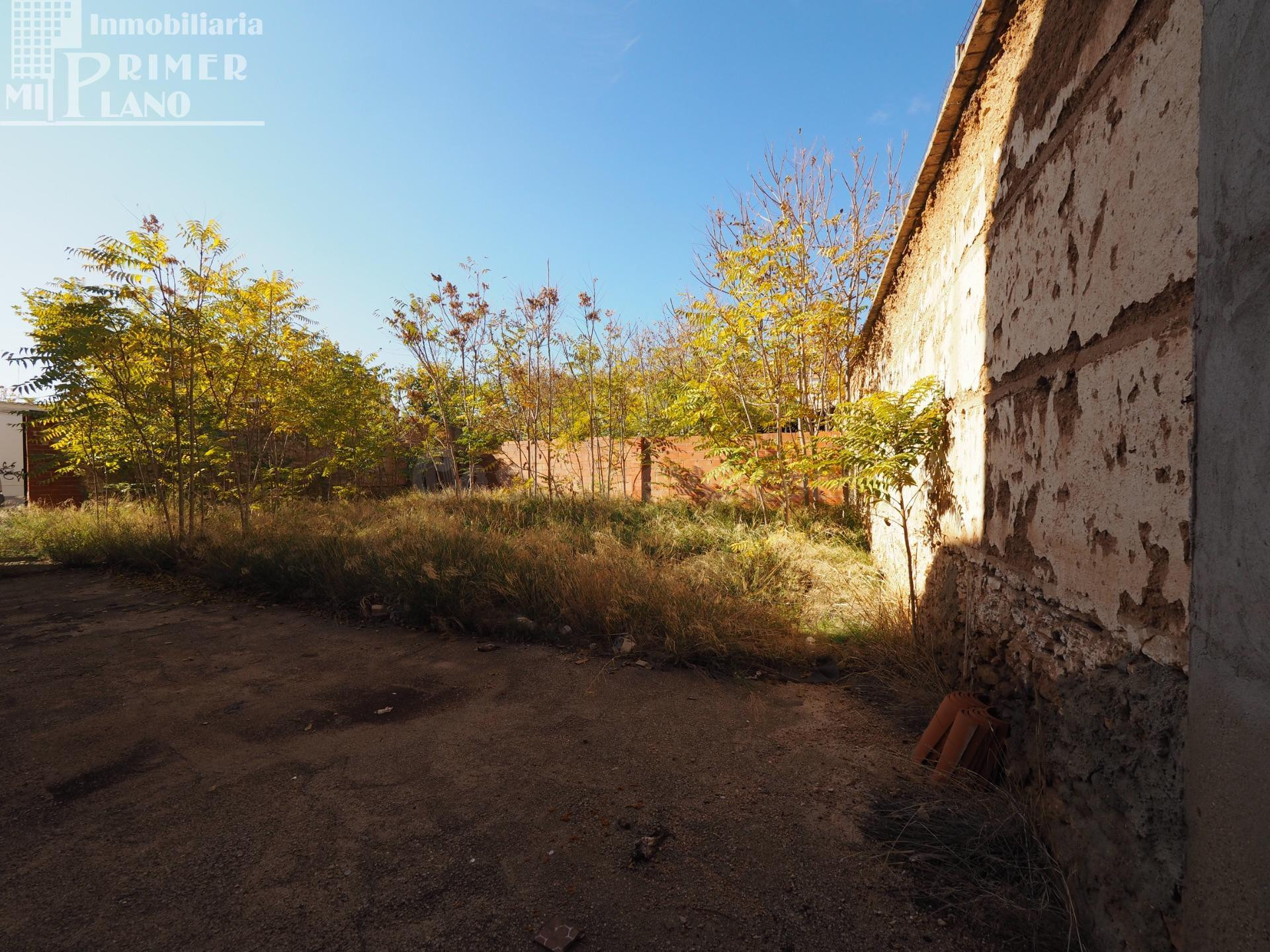 *Solar en Venta en Tomelloso, Zona Calle Doña Crisanta – Excelente Ubicación 255 m2 y 17 de fachada*