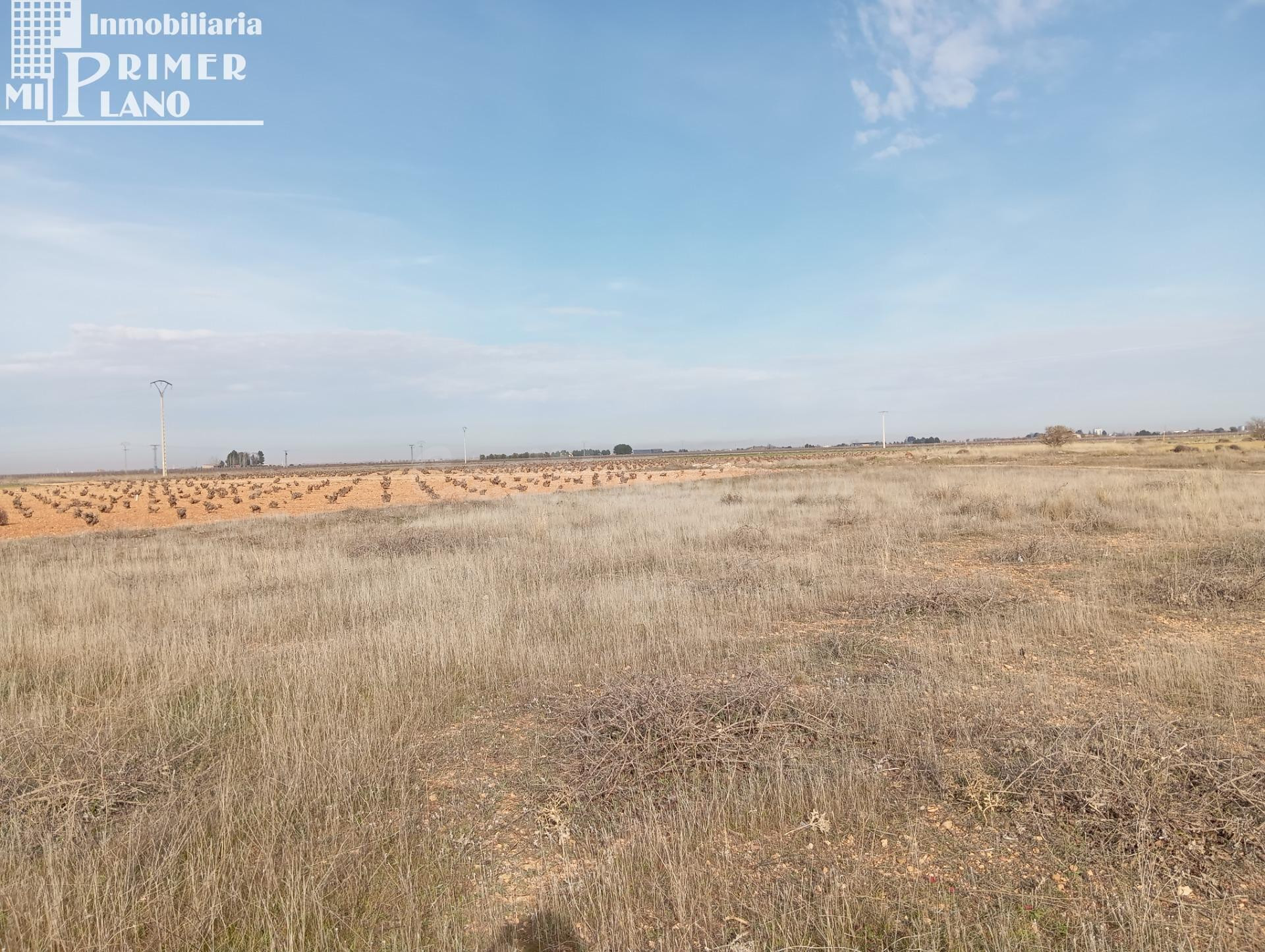 Parcela Rústica en Venta – Ossa de Montiel (Zona Carretera Villarrobledo)