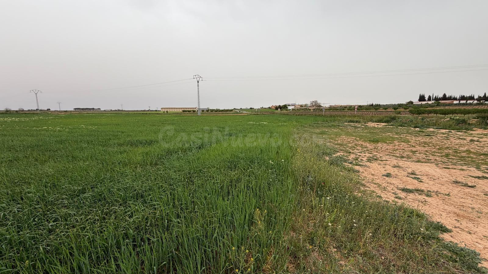 Terreno rústico en venta en Casas Ibáñez, Albacete