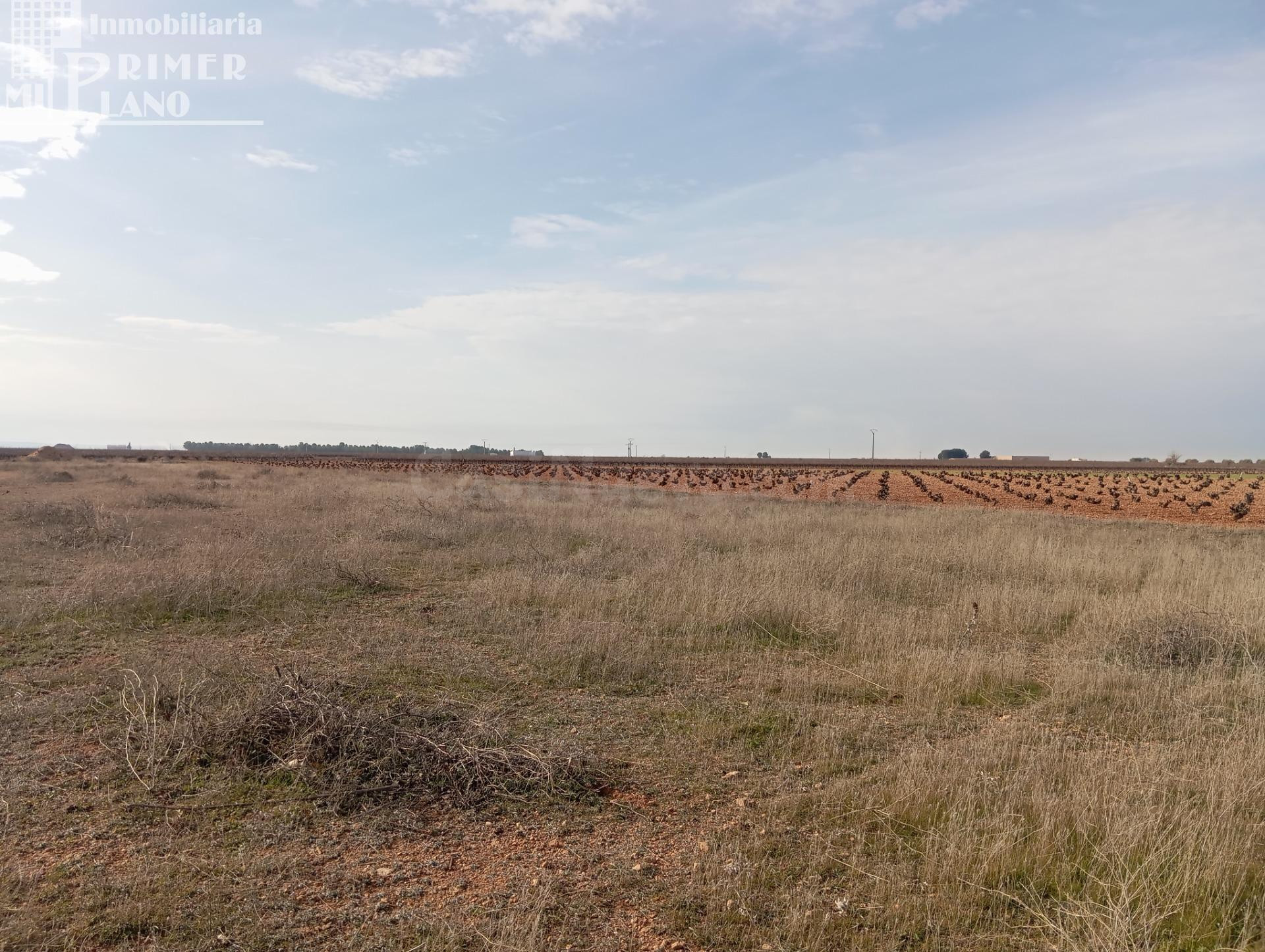 Parcela rústica de secano en Socuéllamos – Zona Carretera Tomelloso NO SE PUEDE CONSTRUIR