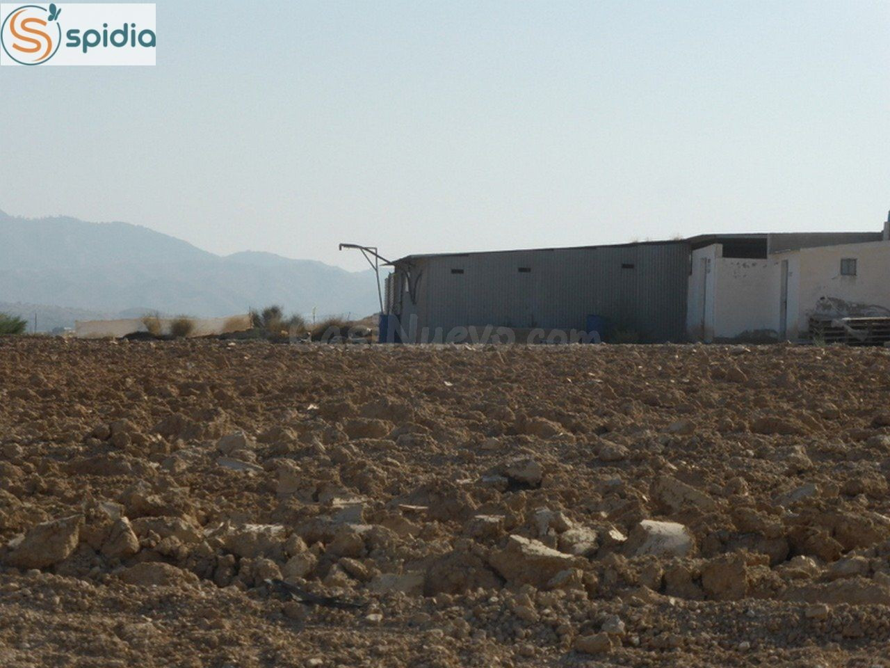 VENTA FINCA RUSTICA EN LOS GALLARDOS 8,35 HAS RIEGO 14.30 HORAS C.R LA ALCORNIA