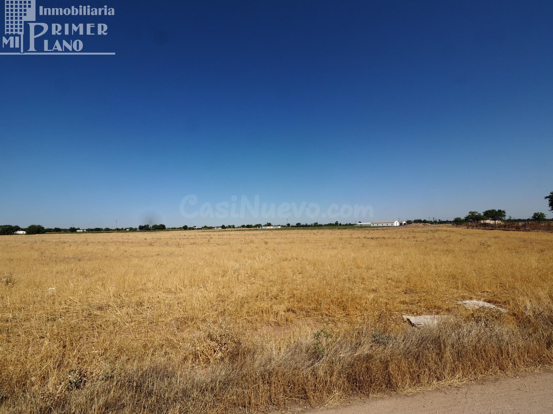 Oportunidad de Inversión: Solar Urbano en Tomelloso a €27/m2
