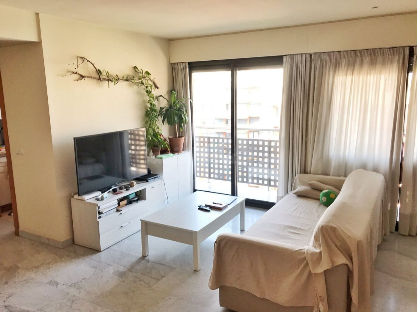 Piso 1 habitación 67m² en alquiler - Penya-Roja - Alameda