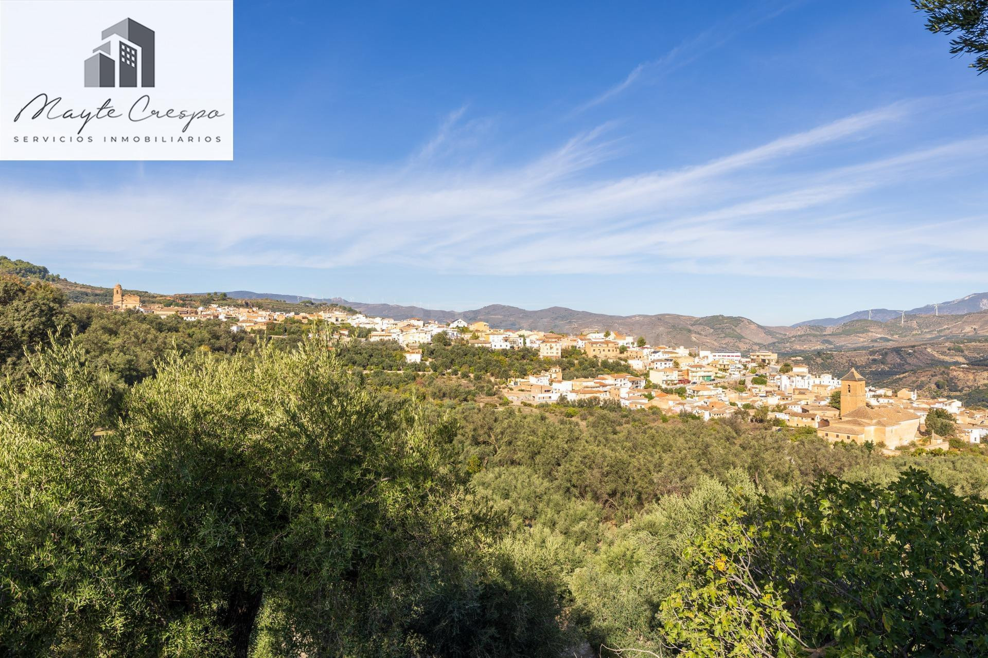 ¡Oportunidad única! Dos Fincas rústicas de mas de 15.000 m2 en total en Pinos del Valle (Lecrín)