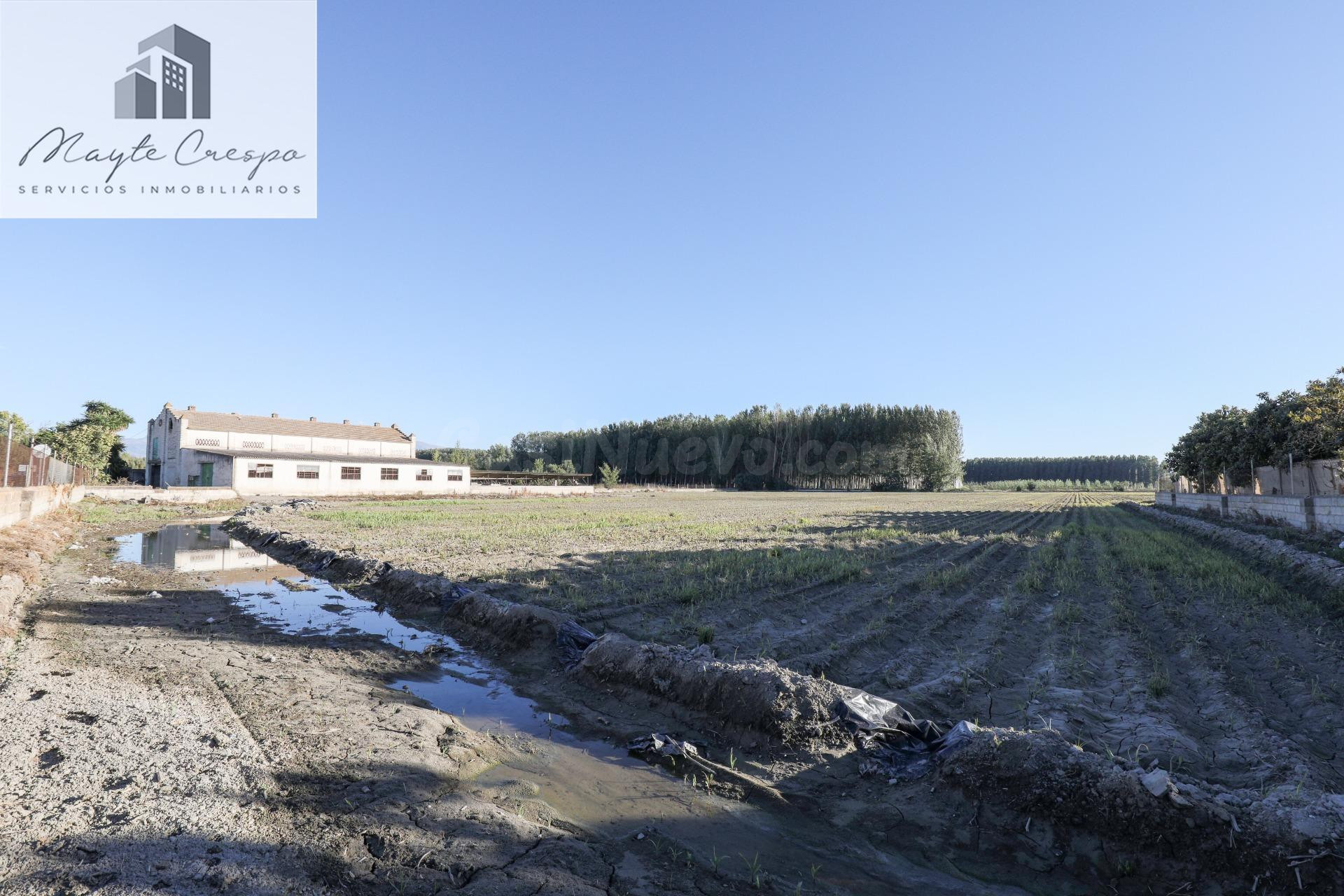 Gran finca Rústica y Urbana de 23.000 metros y construcción de 326 metros cuadrados en Fuente Vaqueros