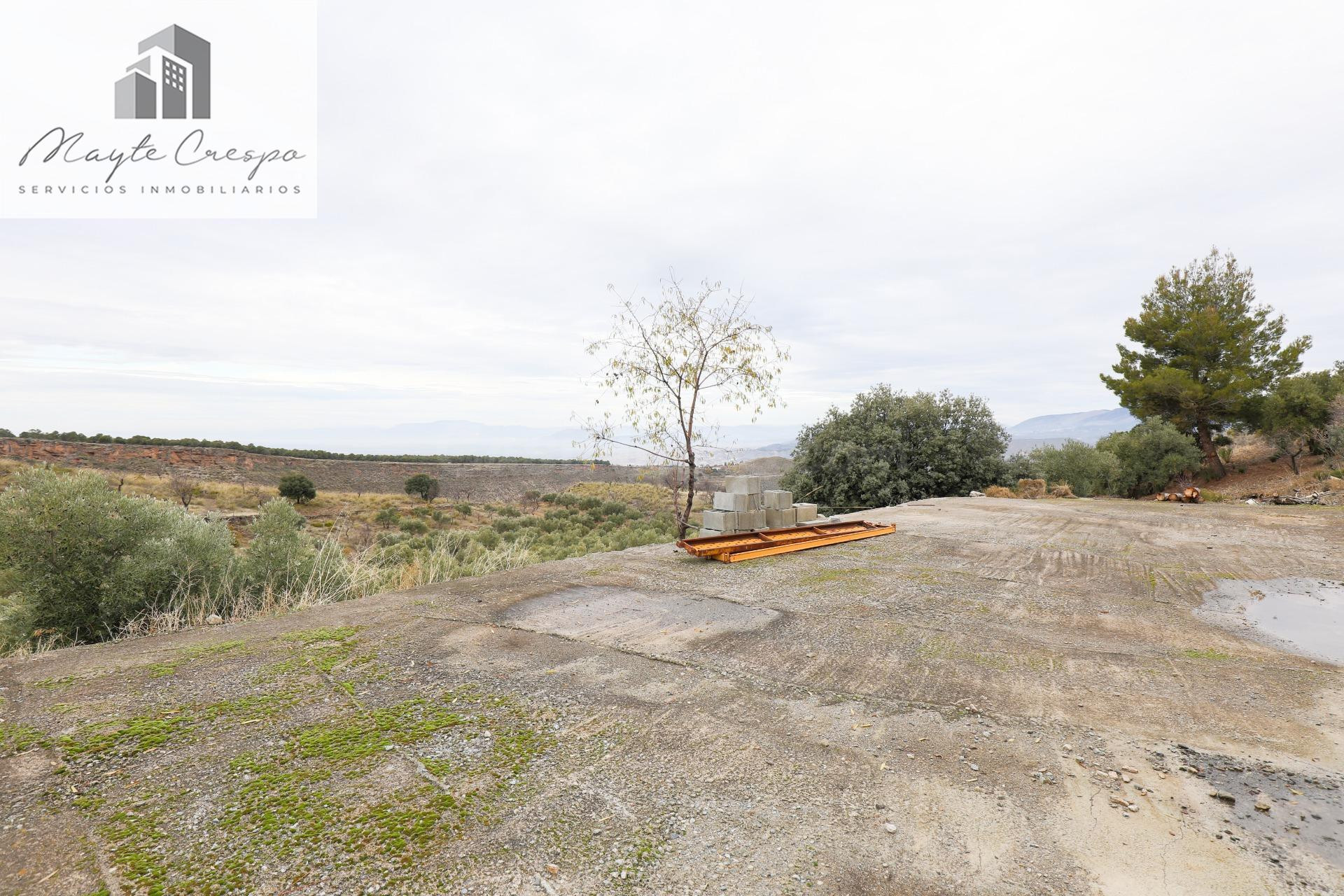 Magnífica finca de 400 olivos en Monachil