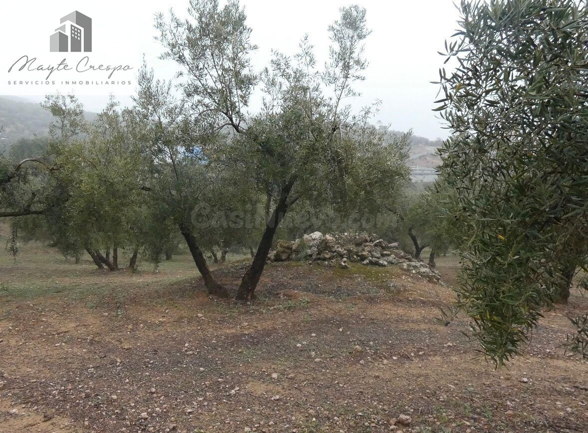 Finca rústica en Peligros – Ideal inversión o explotación agrícola