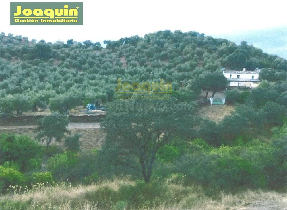 FINCA DE 13.272 METROS DE TERRENO VALLADA EN MONTORO.