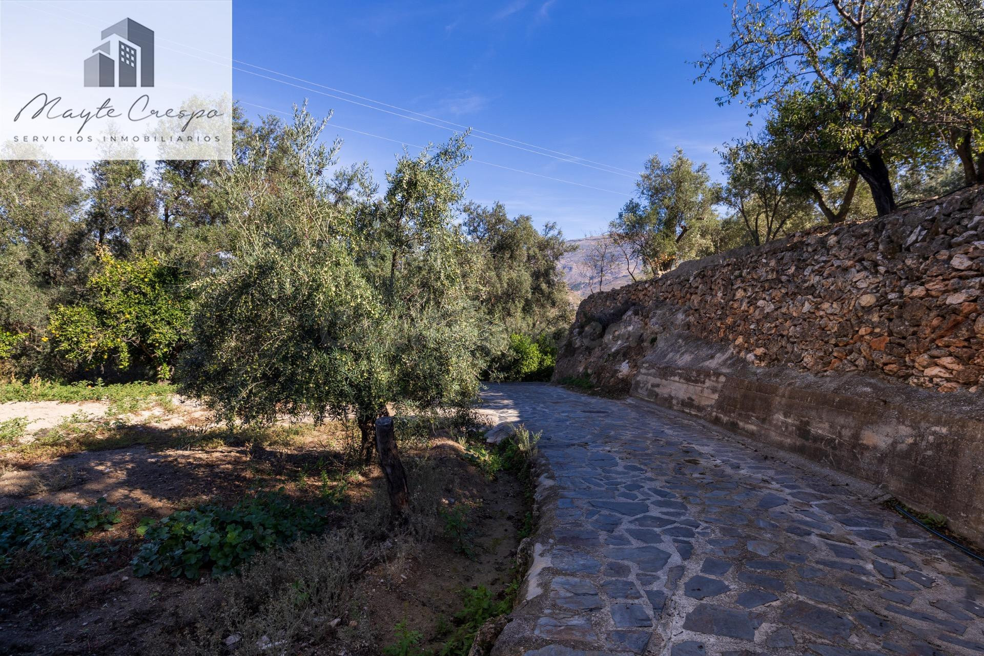 FINCA RUSTICA EN LA VEGUETA, PINOS DEL VALLE!!