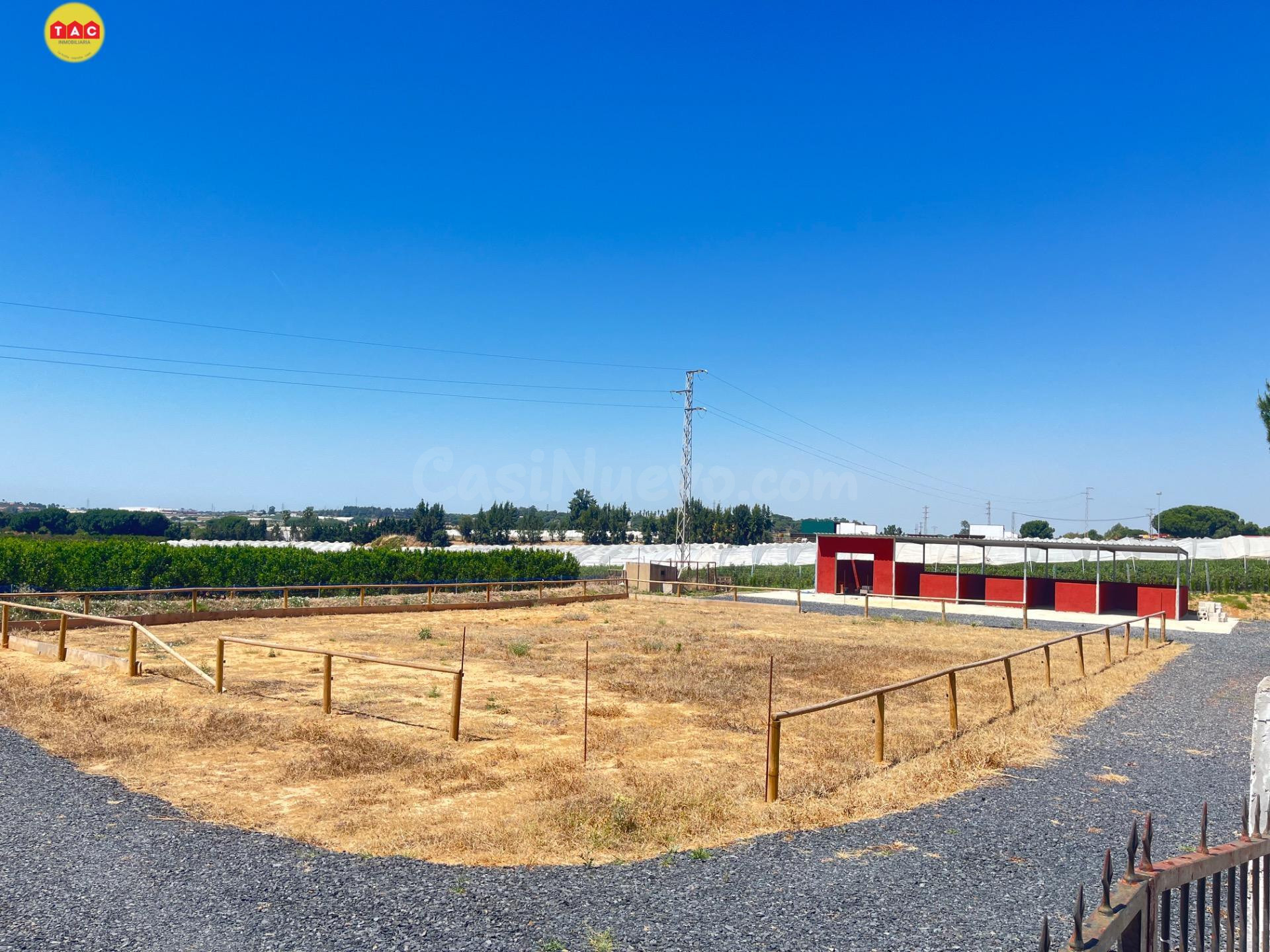 Finca Rústica en Lepe