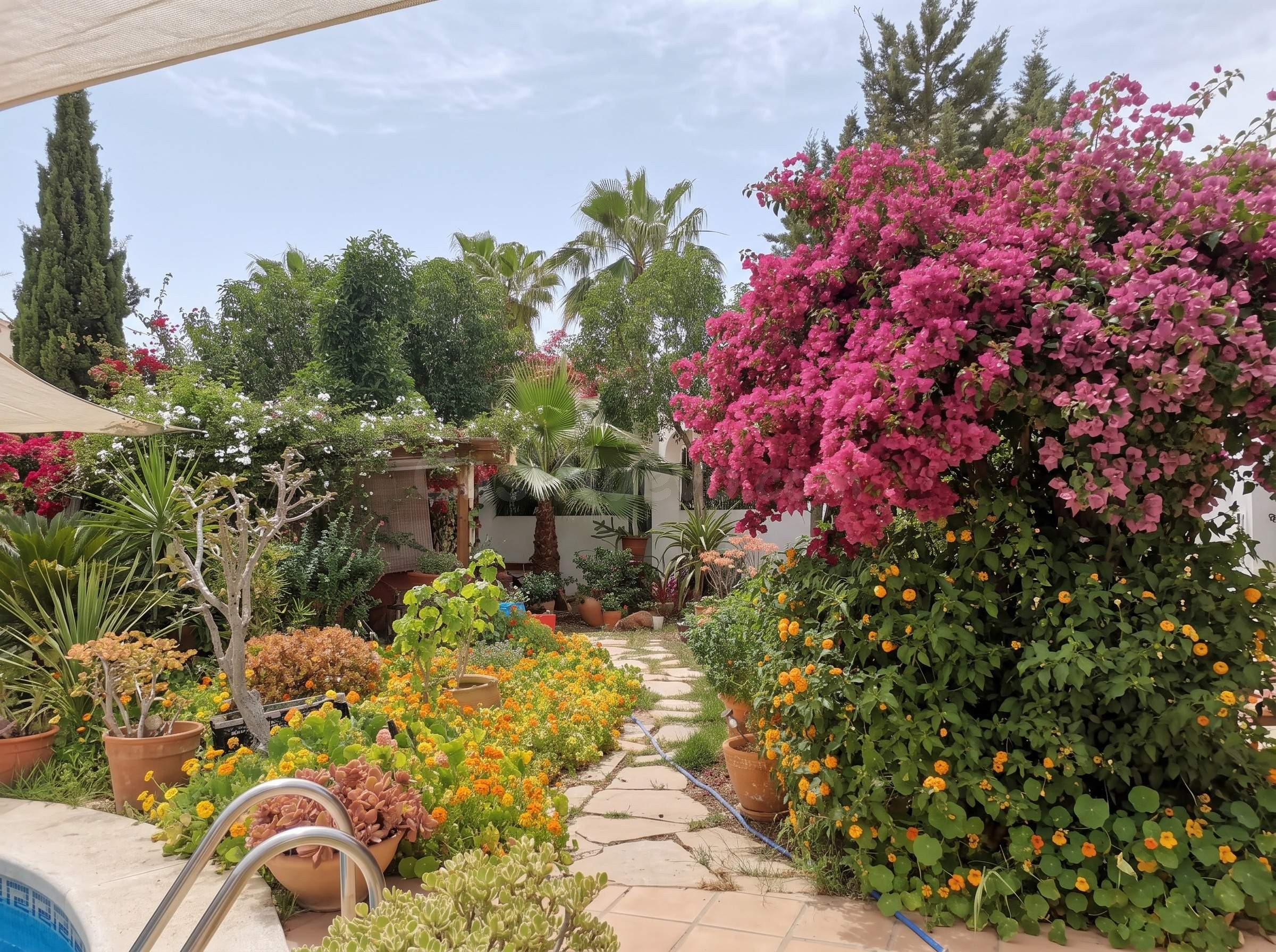 Casa rústica en Santa Eulalia del Río - foto 3
