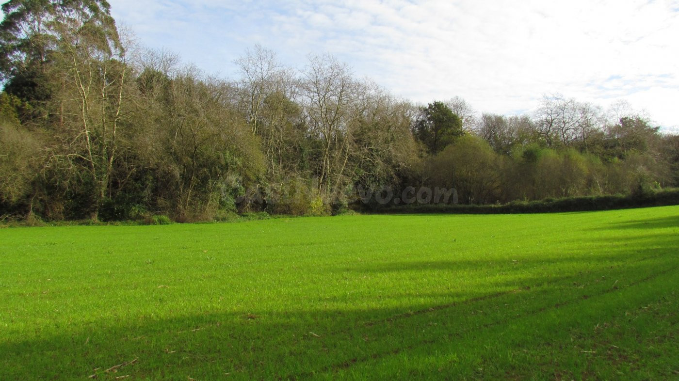 Venta de parcela rústica en Ruiloba - foto 4