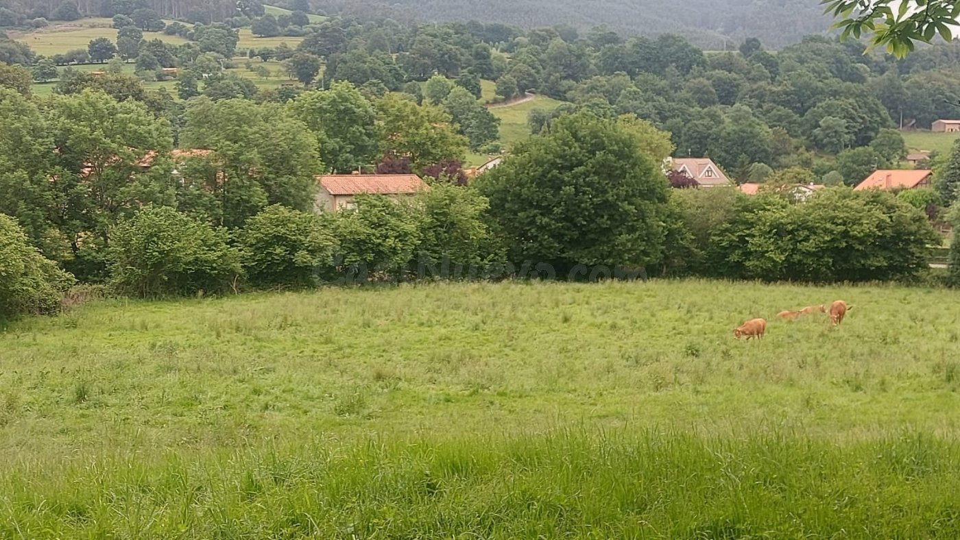 Finca urbana en venta en Coo - Los Corrales de Buelna