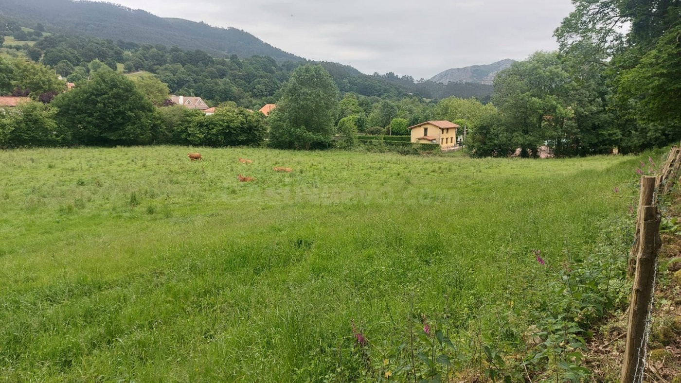 Finca urbana en venta en Coo - Los Corrales de Buelna - foto 2