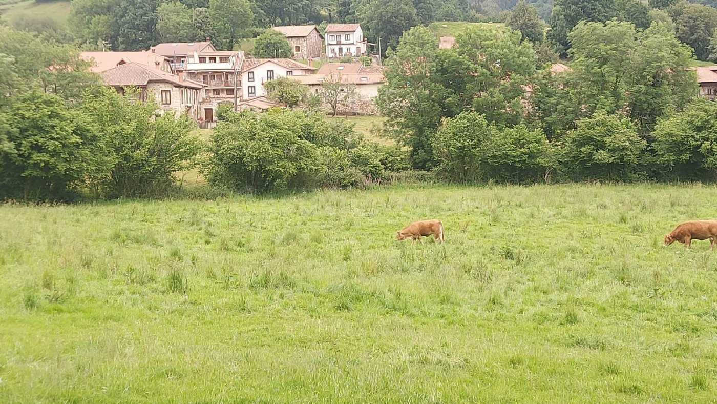 Finca urbana en venta en Coo - Los Corrales de Buelna - foto 4