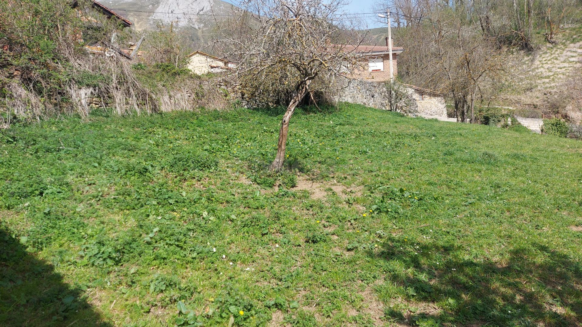 Venta parcela urbana en Pesaguero