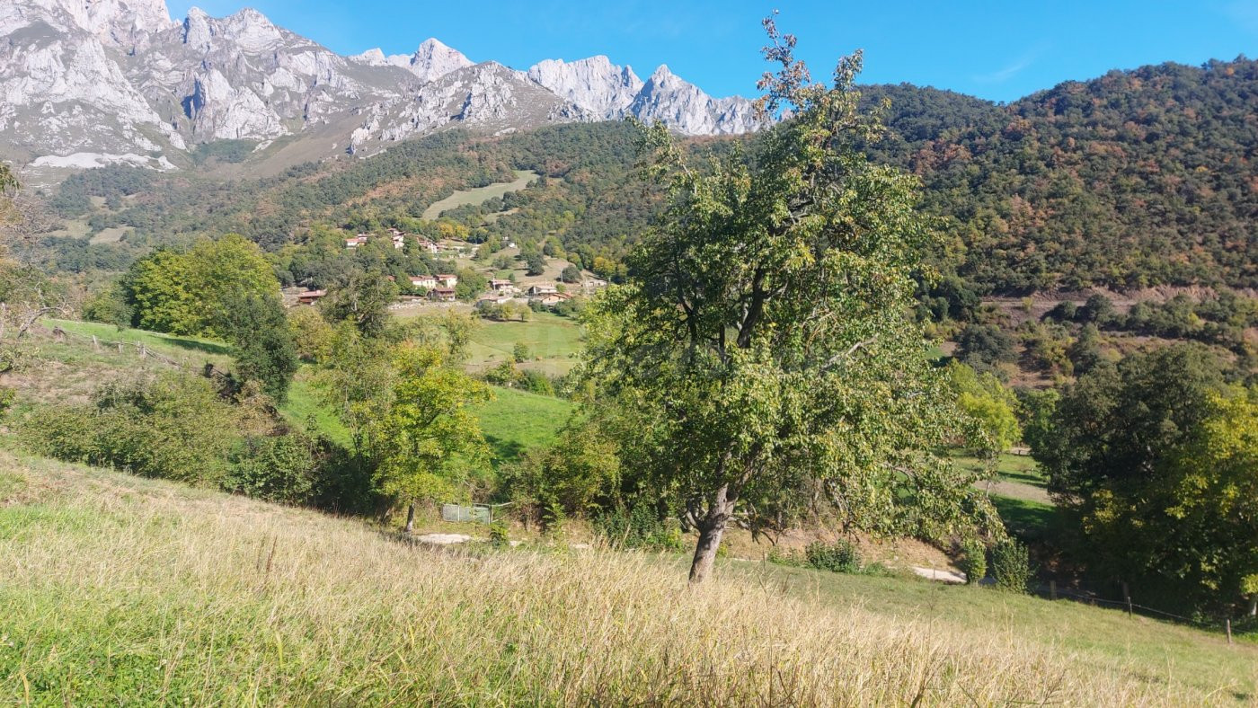 Parcela rustica urbanizable