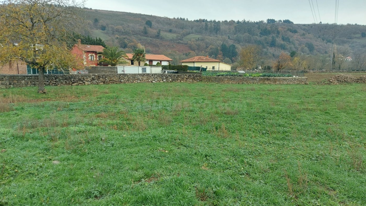 Finca urbana en venta en Arenas de Iguña - foto 5