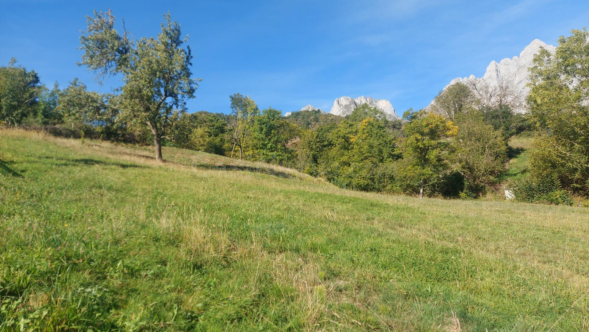 Finca urbanizable en Mogrovejo