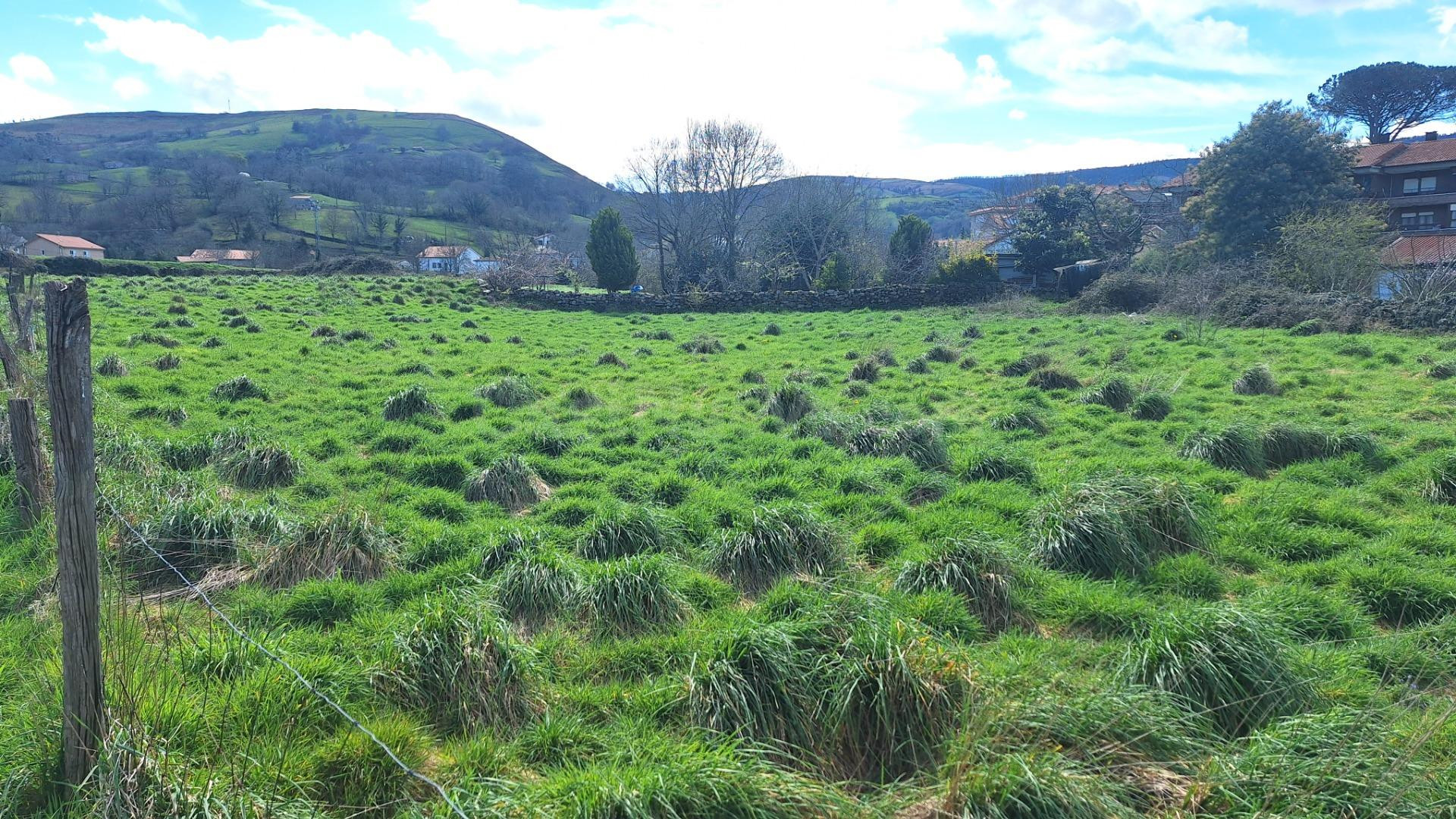 **Terreno en Venta en Selaya, Cantabria**