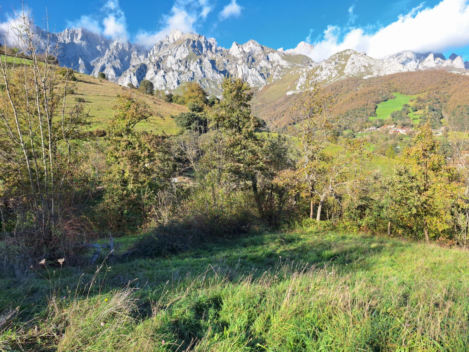 Terreno urbanizable en Liébana