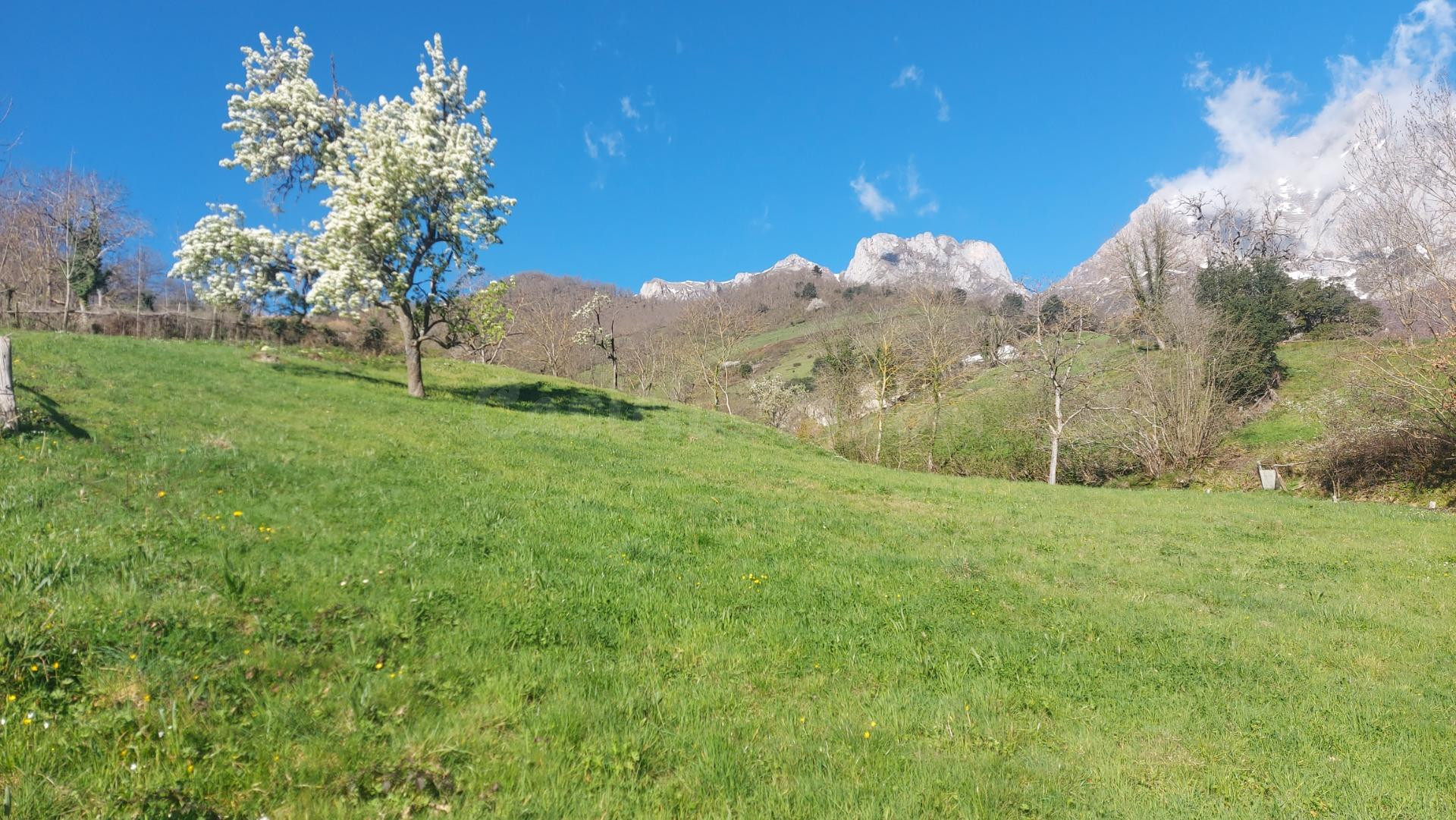 Venta de terreno rústico urbanizable en Liébana