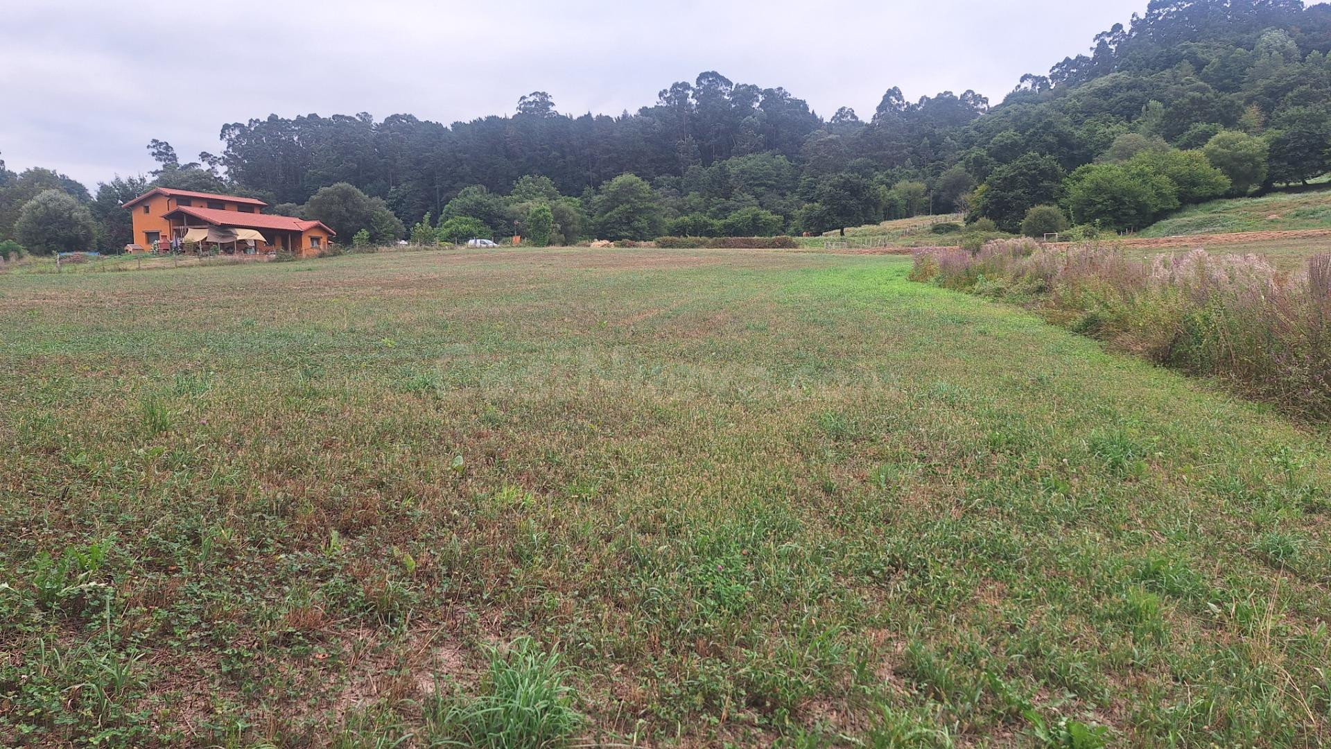 Venta terreno rustico urbanizable Castañeda
