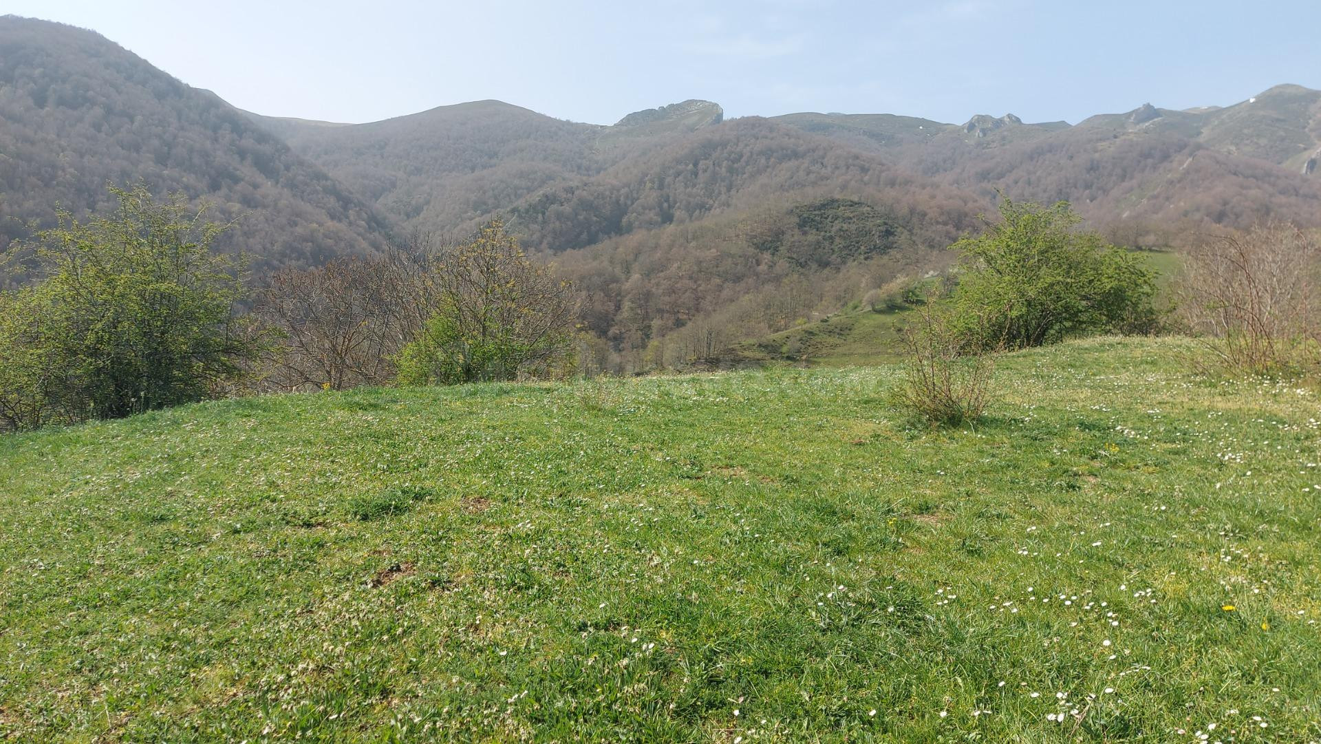 Venta terreno rustico en Caloca
