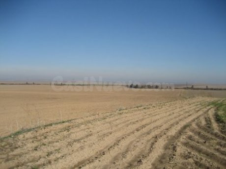 Finca rústica 999999m² en venta - Marchena