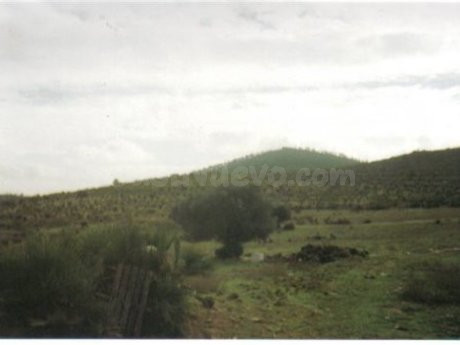 Finca rústica 999999m² en venta - Cerro de andevalo