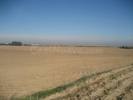 Finca rústica 999999m² en venta - Marchena