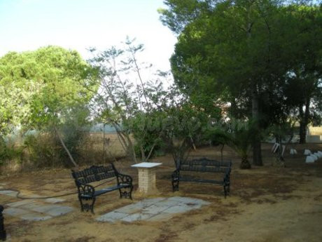 Casa con terreno 2 habitaciones 100m² en venta - Alcala de G - foto 4