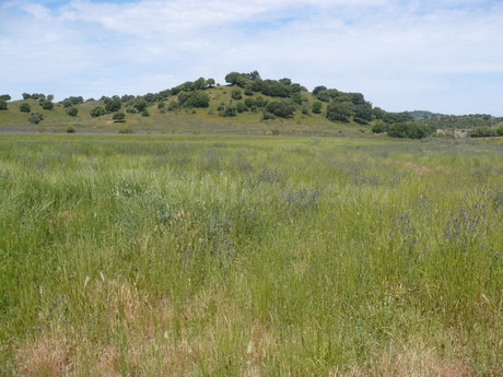 Finca rústica 999999m² en venta - Sevilla