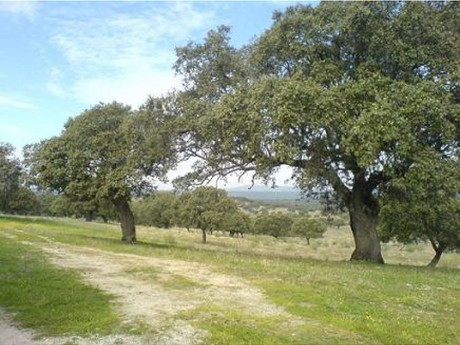 Finca rústica 999999m² en venta - Badajoz