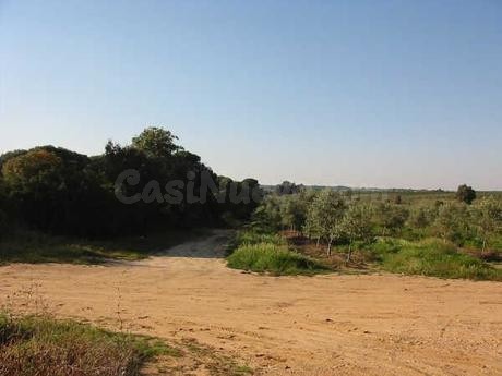 Finca rústica 999999m² en venta - Aracena - foto 4