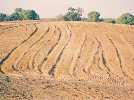 Finca rústica 999999m² en venta - Sevilla