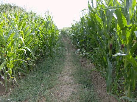 Finca rústica 999999m² en venta - Badajoz