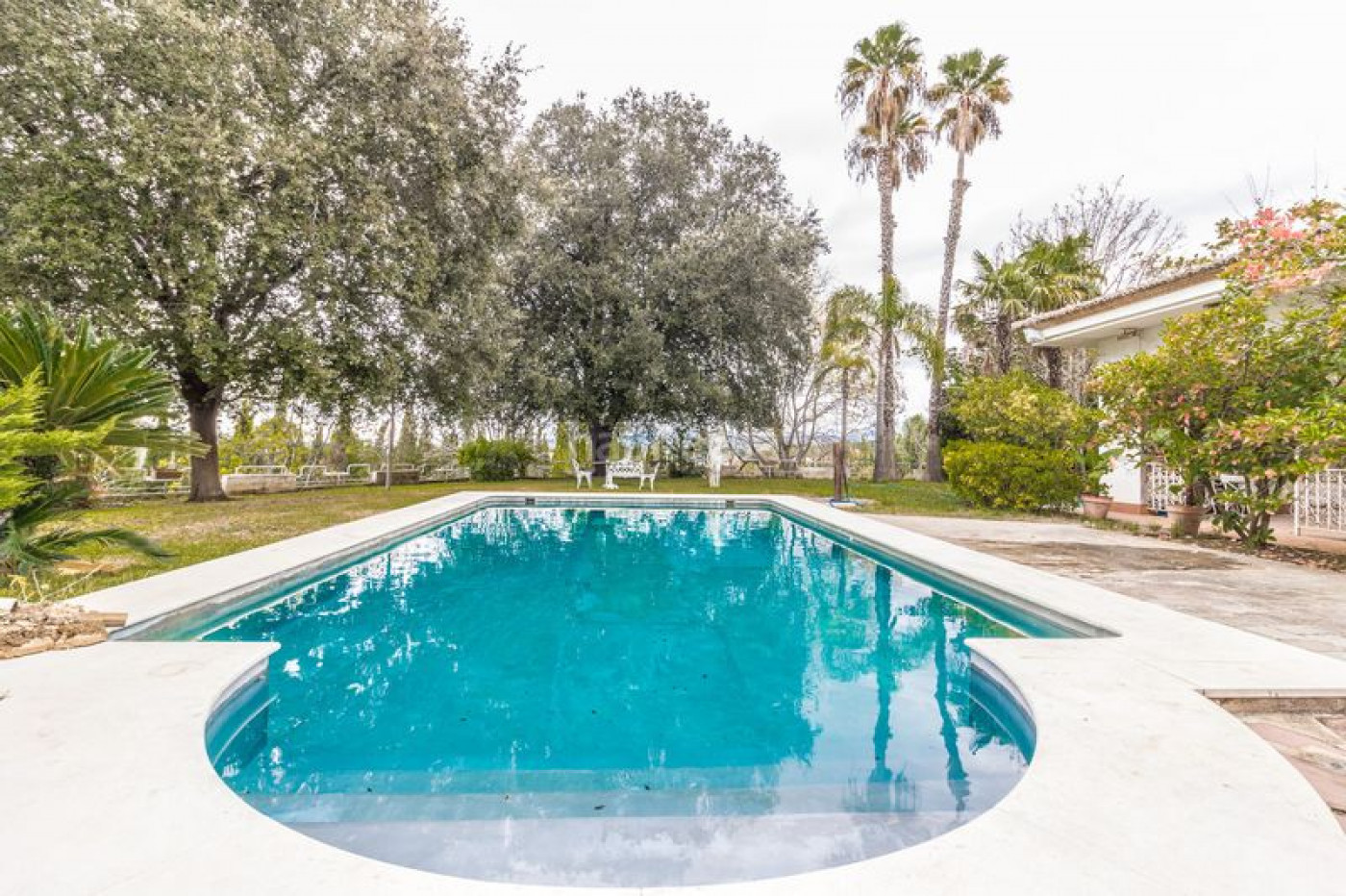 CHALET EN PINO GRANDE