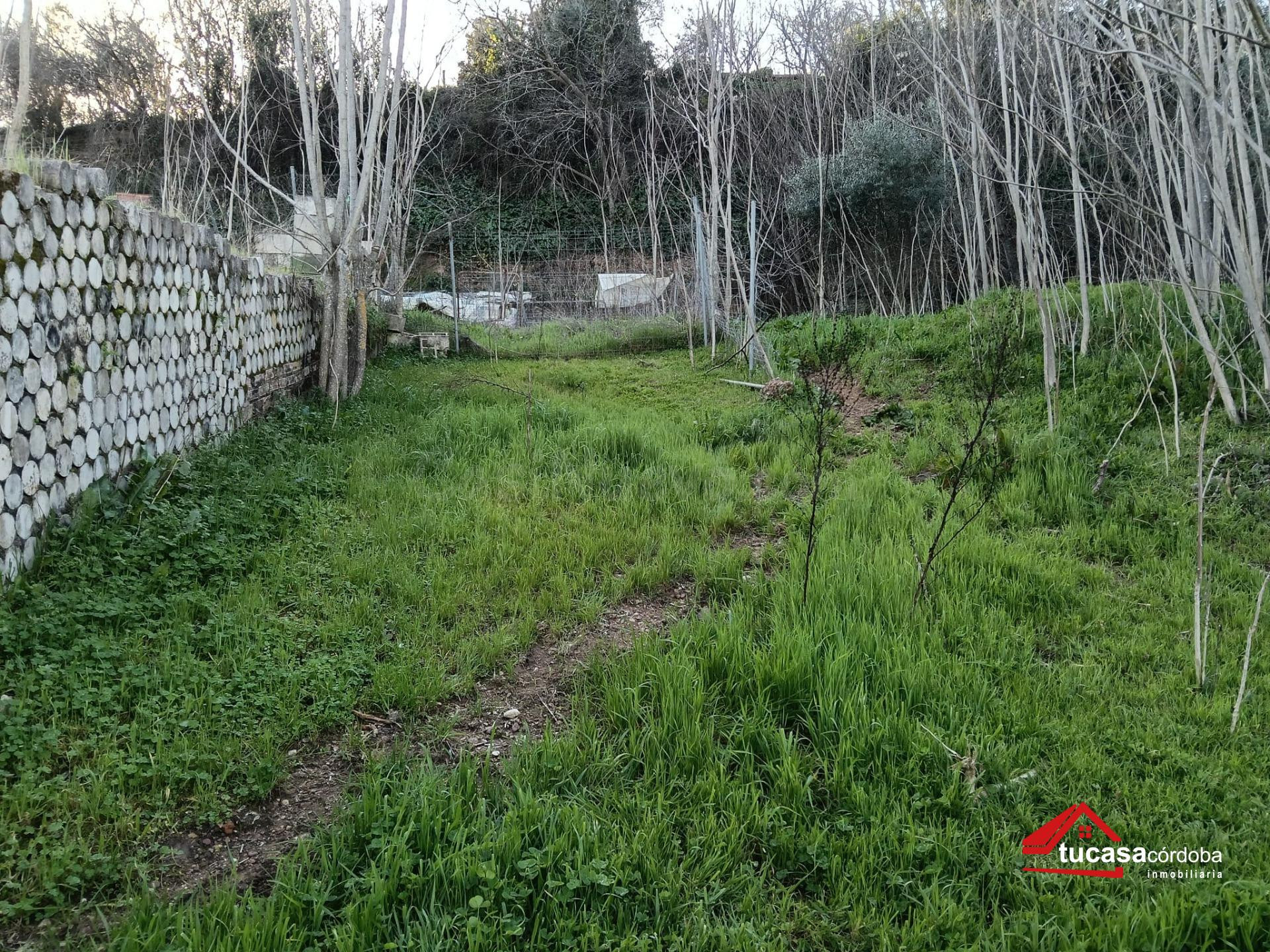 DESCUBRE LA JOYA DE LA PALOMERA