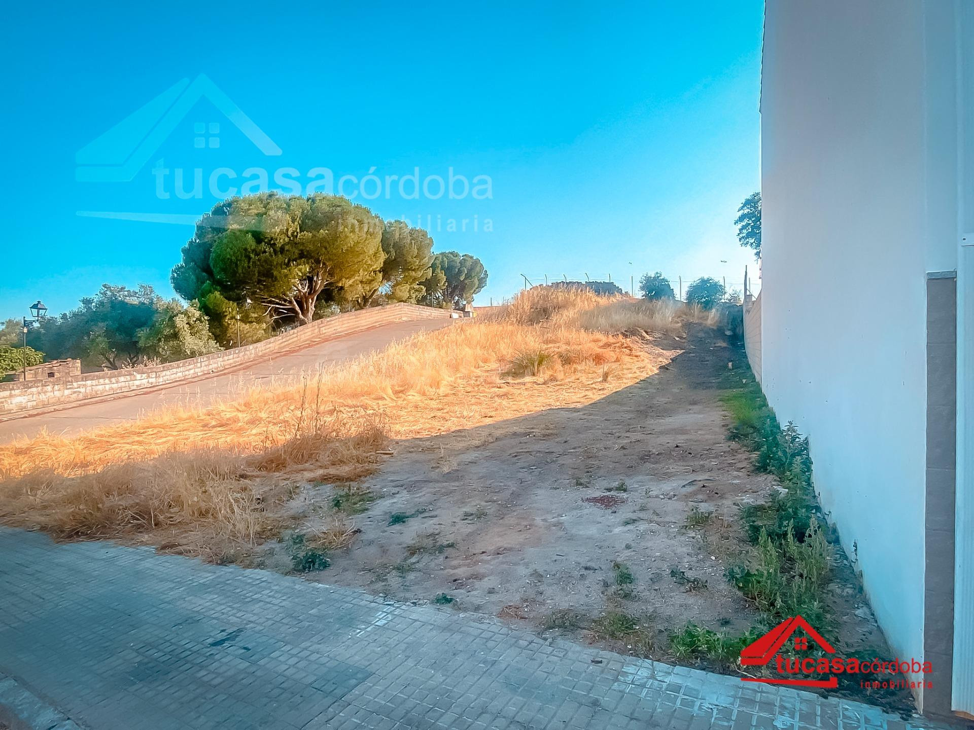 ¡OPORTUNIDAD ÚNICA EN EXCLUSIVA EN EL CORAZÓN DEL VALLE DE LOS PEDROCHES! ✨