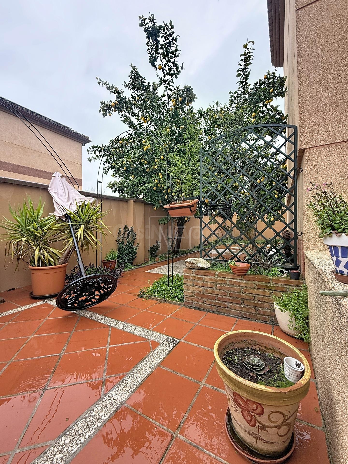 CHALET PAREADO EN CALLE MADRID, PURCHIL