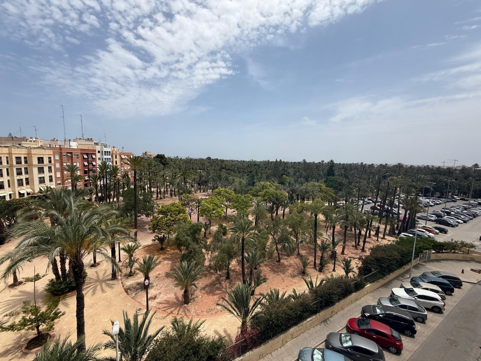 Piso con vistas al huerto del Montjo, Elche.