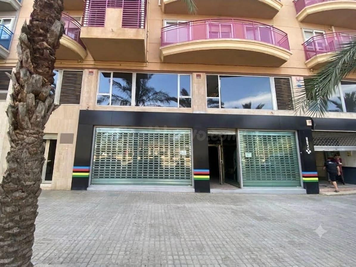Local de 240m2 en plena Avenida Universidad , Elche