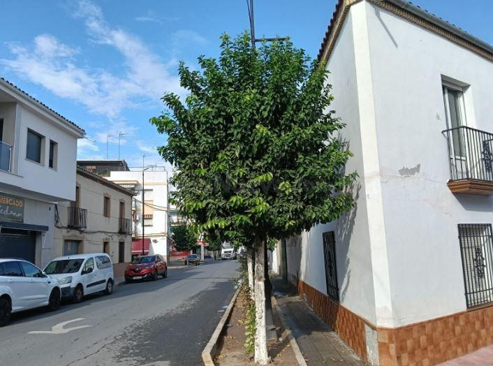 Se vende piso CESIÓN DE REMATE en C/  CABALLEROS en Villa de - foto 2