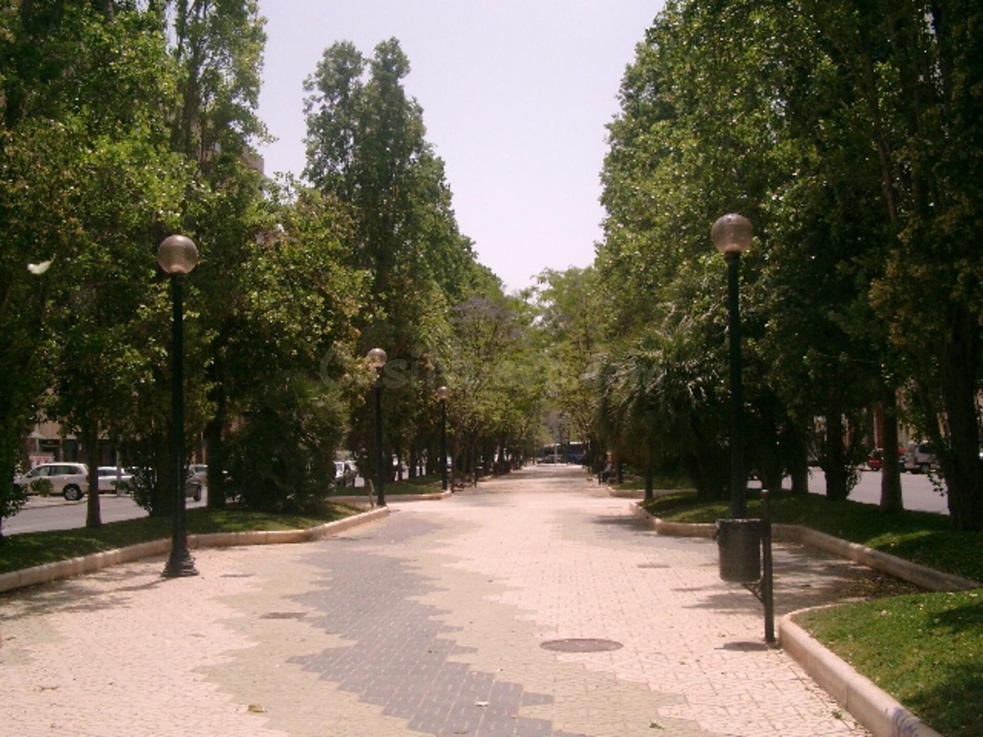 ZONA ALAMEDA LOCAL COMERCIAL ALQUILER
