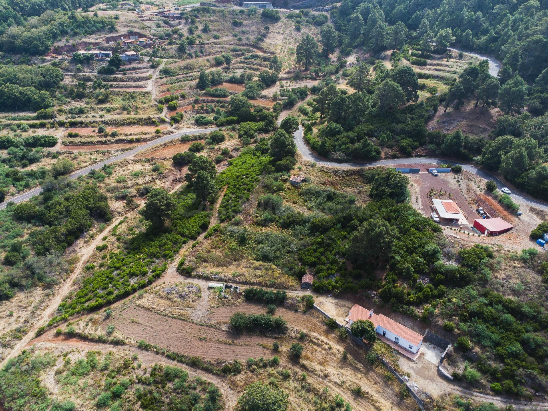 Finca rústica con potencial turístico y agrícola en Llano Negro (Garafía – La Palma)