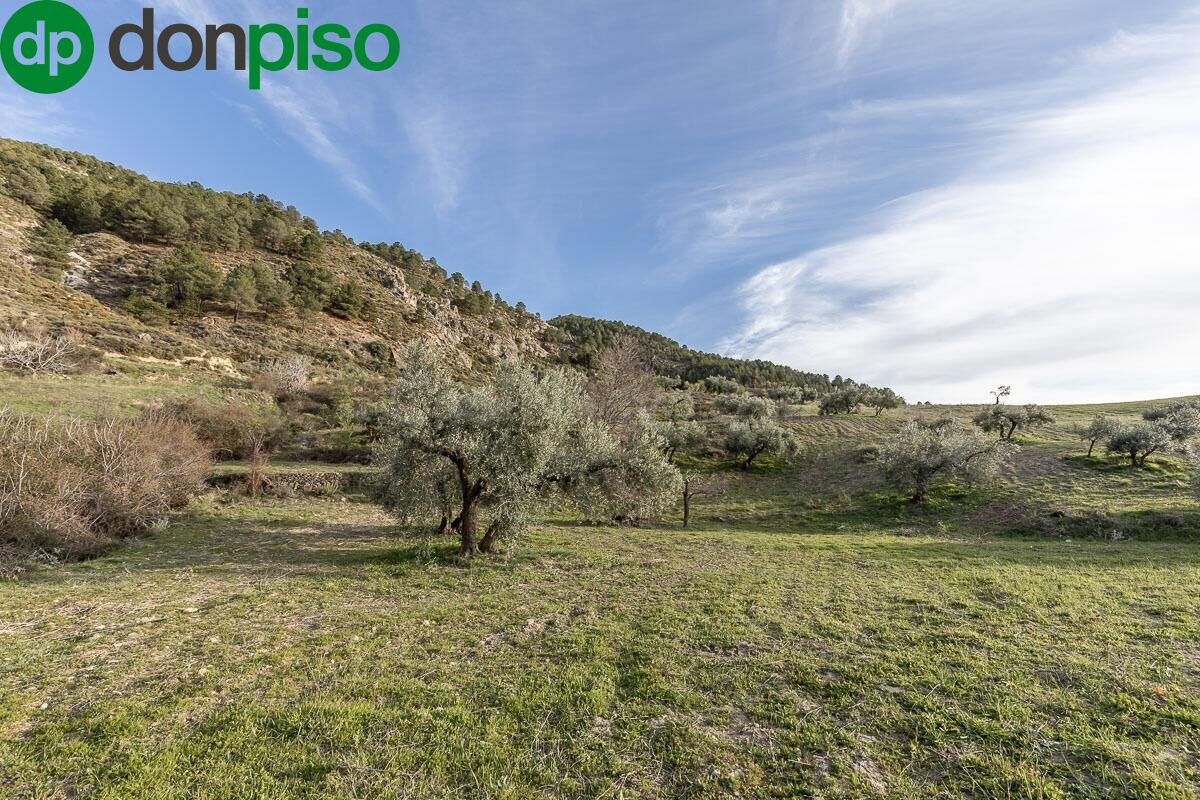 Finca rústica en Monachil