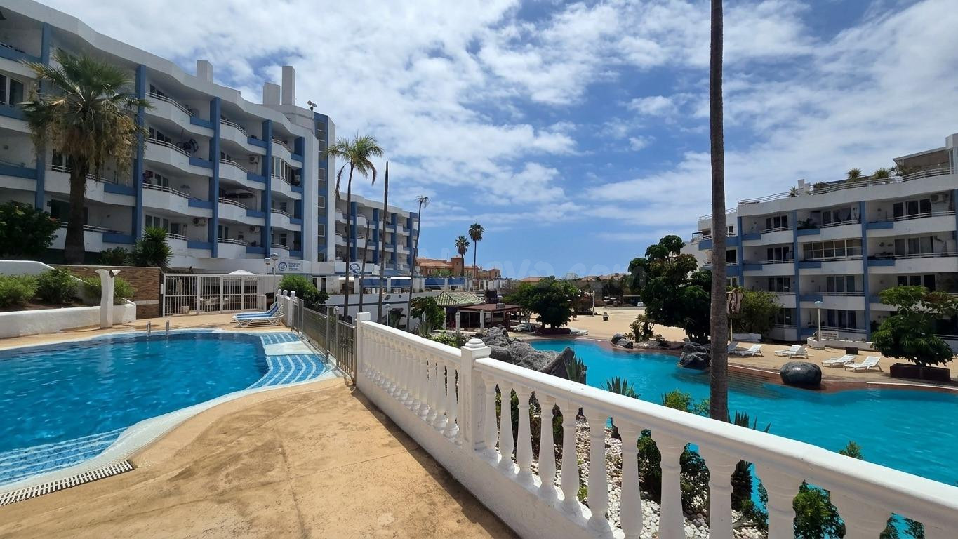 APARTAMENTO EN COMPLEJO CON VARIAS PISCINA EN AVDA. JOSE MIGUEL GALVÁN BELLO - GOLF DEL SUR